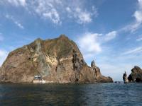 Declassified 1948 US military report calls Dokdo 'part of Korea'