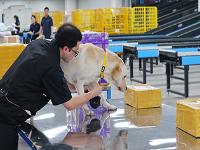 마약류 탐지부터 승강기 사고까지…과학기술로 신속 해결한다